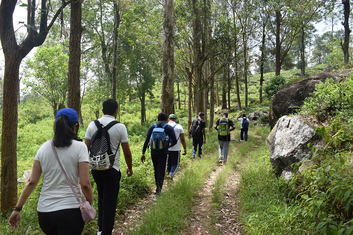Image gallery marquee